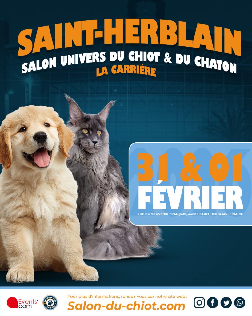 Salon Univers du Chiot & du Chaton
